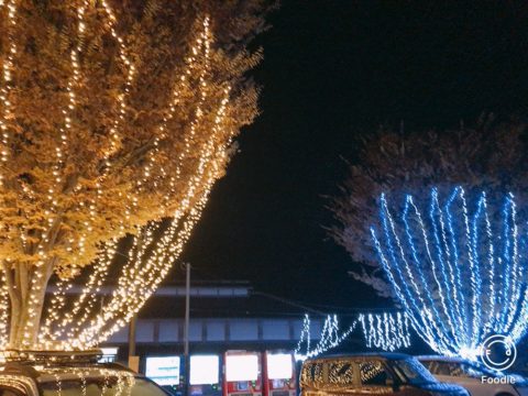 山都町 文楽館 イルミネーション