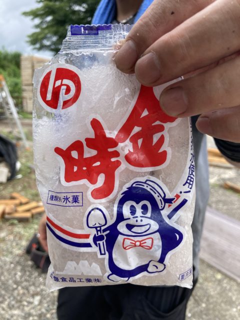 夏といったらやっぱりコレ！