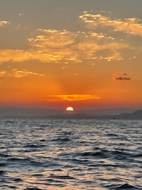 今年も残すところわずかとなりました。今年は4月から法人化し分からない事ばかりで試行錯誤駆け抜けてきた1年でした。